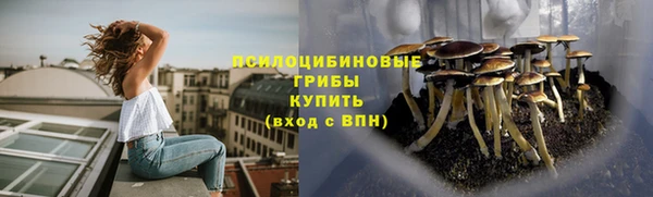 MDMA Кодинск