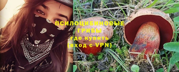 синтетический гашиш Козельск