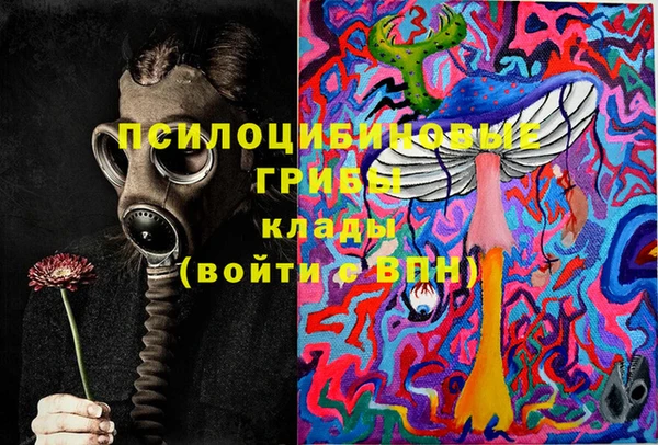прущая мука Козловка